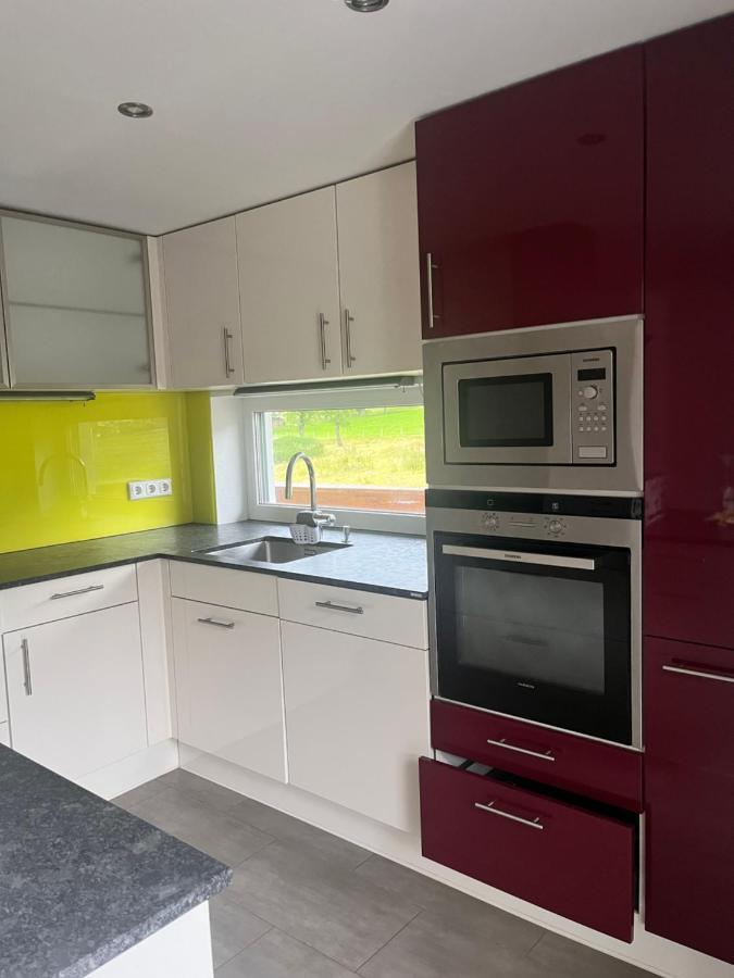 Heidis Appartement Гозау Екстер'єр фото
